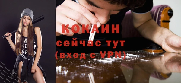 COCAINE Богородицк